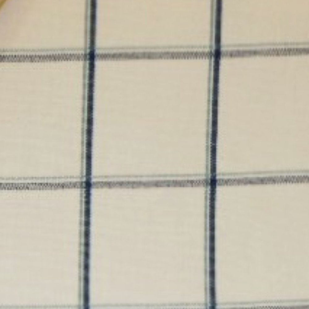 Jay Yang Pattern Adagio Drapery Fabric in BLUE